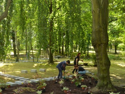 Observatorium - Treatment of the soil - Kuracja dla ziemi – ZIELONA GORA, Poland - planten