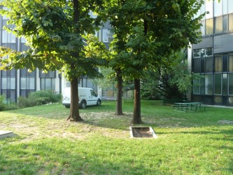 Observatorium - Mikado & Chaise longue – Milano, Italia - driebomenleeg