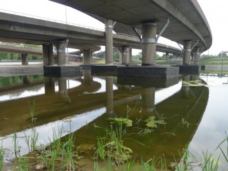 Observatorium - First sculpture installed at Museum of Orphaned Sculpture - eerste groen