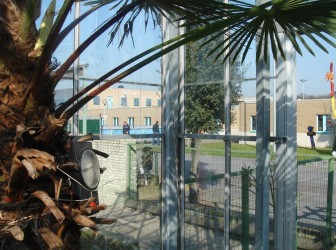 Observatorium - Square for De Leij - Vught-palm