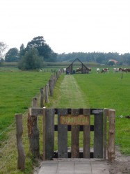 Observatorium - Middenin - Middeninpad