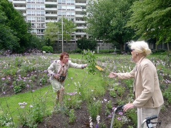 Observatorium - Spiral Garden – ROTTERDAM - SG landa