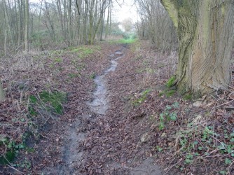 Observatorium - Der grüne Schatten Zollvereins – ESSEN - stroom