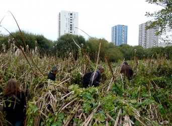 Observatorium - Péage Sauvage - ESTUAIRE Nantes <> Saint Nazaire - PS wild4