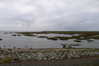 Observatorium - Sleeping Beauties workshop VITROLLES - TERSCHELLING - kwelder