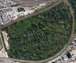 Observatorium - Silent dance on the Péage Sauvage - petite amazonie + ps