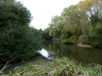 Observatorium - Péage Sauvage - ESTUAIRE Nantes <> Saint Nazaire - PS wild