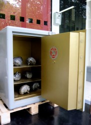 Observatorium - Wild Capital - kluis bij stroom