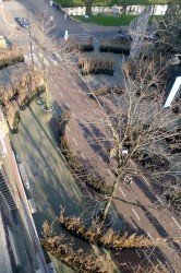 Observatorium - Groot Museumpark/ Larger Museumpark – ROTTERDAM - GMP5