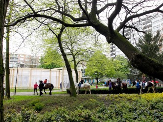 Observatorium - Spiral Garden – ROTTERDAM - SG boom