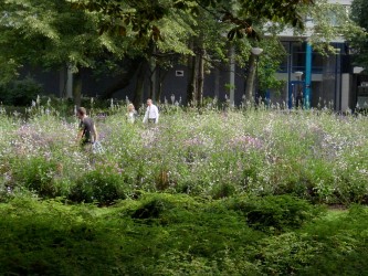 Observatorium - Spiral Garden – ROTTERDAM - SG in zee