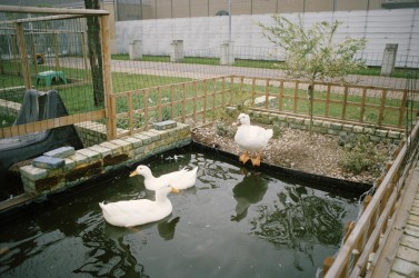 Observatorium - Square for De Leij - 2 vught