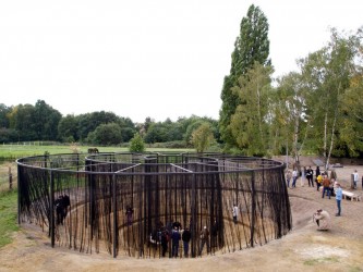 Observatorium - Der grüne Schatten Zollvereins – ESSEN - publiek