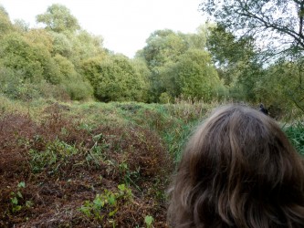 Observatorium - Péage Sauvage - ESTUAIRE Nantes <> Saint Nazaire - PS wild2